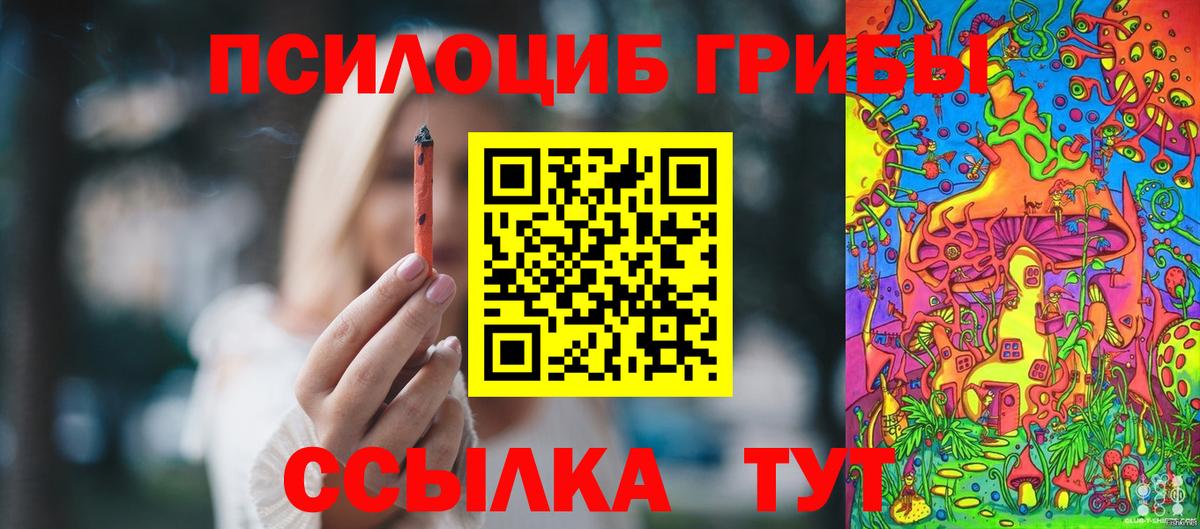 Галлюциногенные грибы Psilocybe  Вход с VPN  Котовск 
